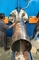 High performance Tube /  Light Pole Shut-Welding Machine max 600/16000